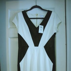 Cache black and white colorblocked dress NWT sz 8